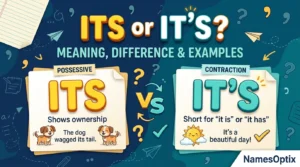 Its or It’s: Meaning, Difference & Examples