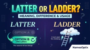 Latter or Ladder: Meaning, Difference & Usage