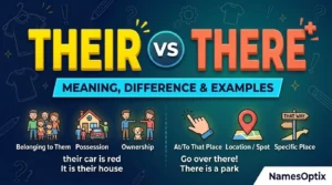 Their vs There: Meaning, Difference & Examples