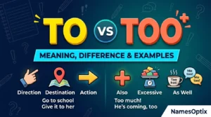To vs Too: Meaning, Difference & Examples